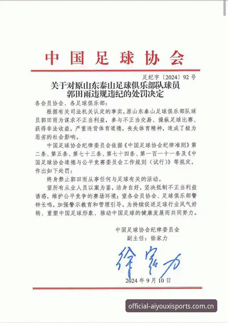 爱游戏体育平台高清 足协第三批禁足名单公布,中国足球反腐如何重塑行业生态?